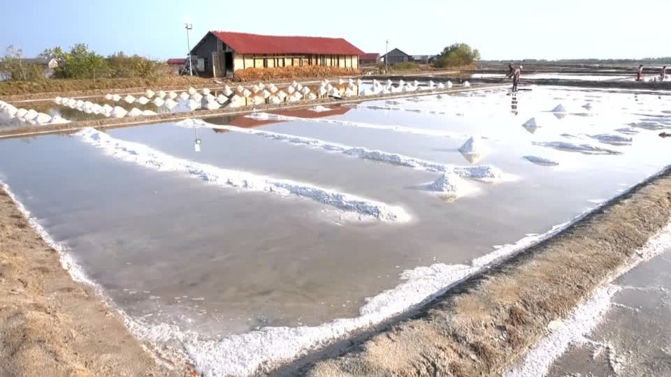贡布省长呼吁盐业生产商扩大产量 保障全国供应