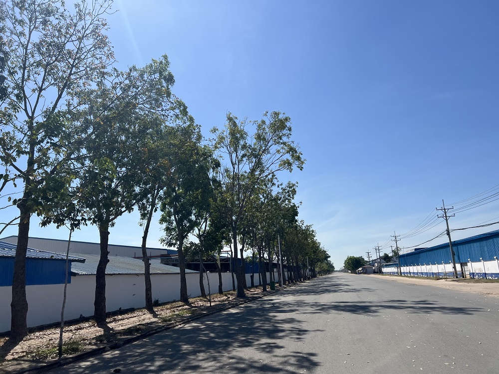 柬埔寨曼哈顿经济特区（MSEZ） 图片 6