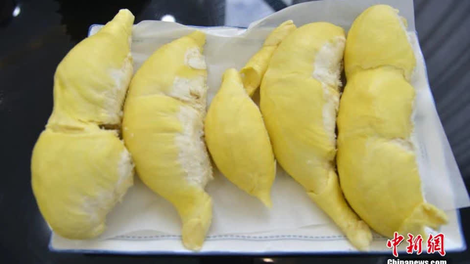“吃海鲜”的三亚榴莲，“树上熟”！