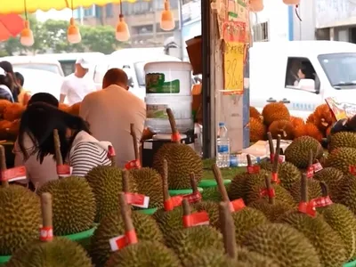 【澜湄印象】中老铁路助力鲜果跨境 东南亚榴莲新鲜直达餐桌