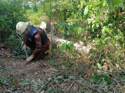 柬埔寨一枚未爆集束弹药爆炸，致1人死亡！