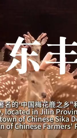 透过小村看中国：一画一鹿走出艺术赋能产业发展的创新之路——中国吉林东丰县