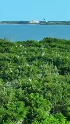 透过小村看中国：湿地秘境里的鹤栖田园村落——中国吉林向海村