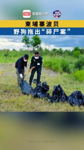 柬埔寨波贝，野狗拖出“碎尸案”