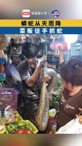 蟒蛇从天而降 菜贩徒手抓蛇