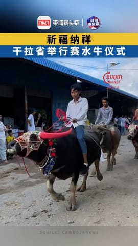 干拉省举行赛水牛仪式