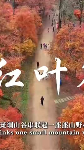 透过小村看中国： 穿行红叶谷， 赴山村秋日之约