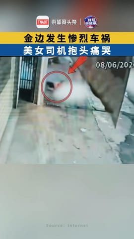 金边发生惨烈车祸，美女司机抱头痛哭！