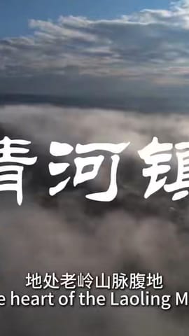 透过小村看中国：中国人参特色小镇——清河镇