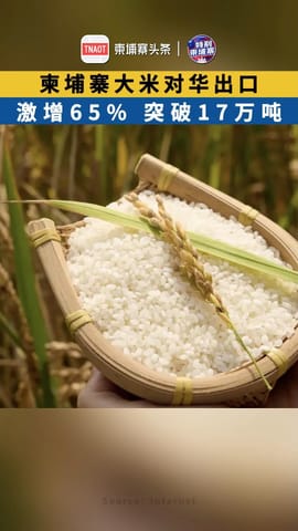 柬埔寨大米对华出口激增65%，突破17万吨！
