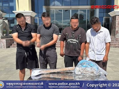金边双尸案后续：4名嫌疑人或面临终身监禁