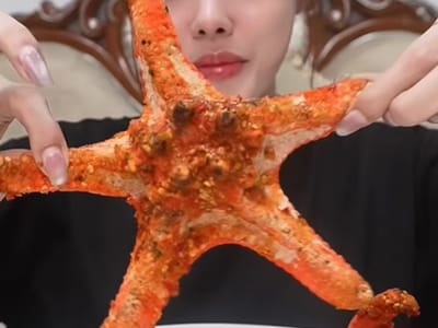 柬埔寨网红食用海星引争议，网友呼吁农业部介入