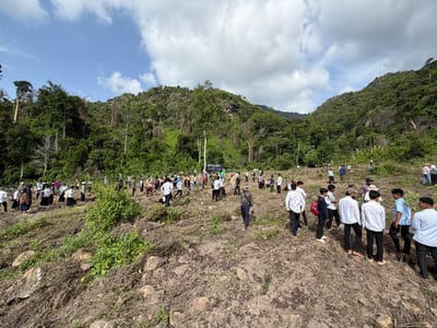 柬埔寨青年积极参与植树活动 共建绿色家园