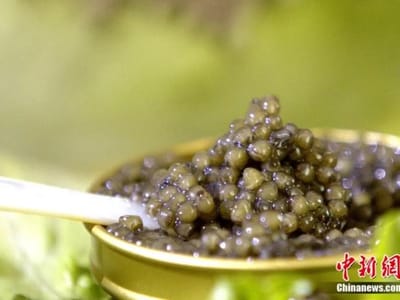 本来想低调，但实力不允许！风靡全球的“液体黄金”竟然藏在这里