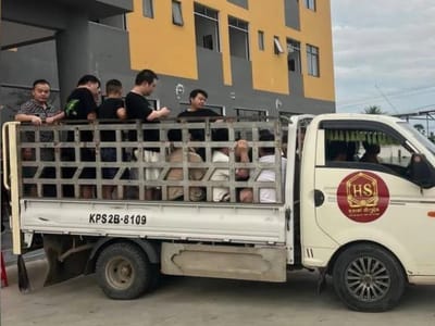 在柬埔寨“打麻将” ，25名中国人被警方逮捕！