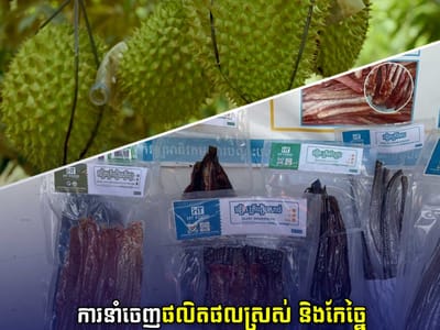 柬埔寨社会发展协会：农产品出口与加工需并行，以防市场供过于求