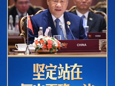 习言道｜金砖峰会，习近平为何强调“坚定站在历史正确一边”