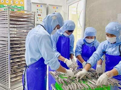 柬埔寨政府致力于加强柬埔寨微型、小型和中型企业的发展
