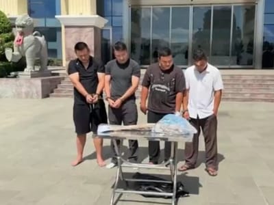 柬埔寨“水泥埋尸”案告破，嫌犯或将被判“终身监禁”！