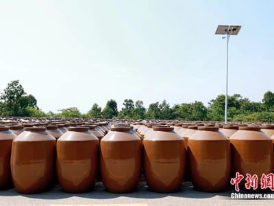 这座川南小城，盛下全国一半的酒香