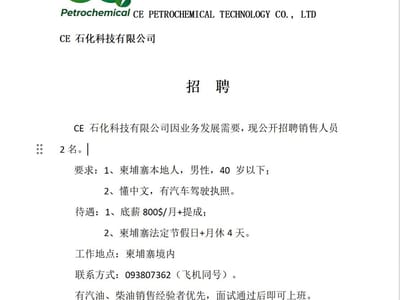 CE 石化科技有限公司 招聘 ！