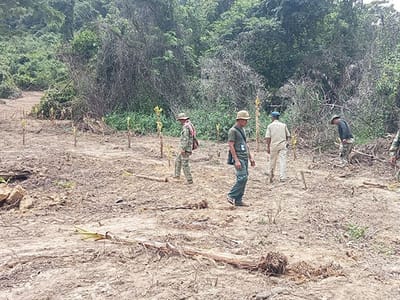 暹粒省环境局持续打击保护区非法侵占土地行为