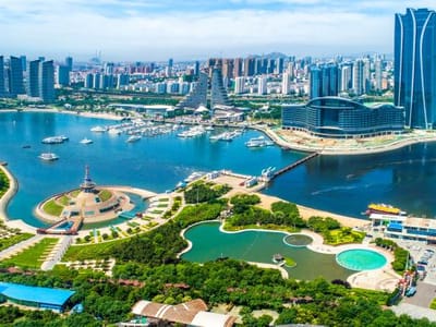 向绿向新，日照经济跑出新质感