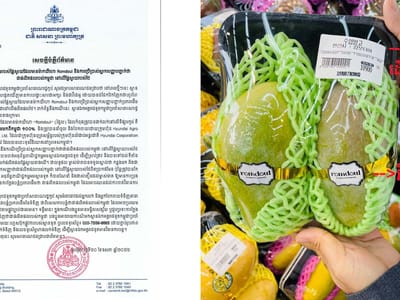 泰国芒果冒充柬埔寨产品？驻韩大使馆：已纠正！