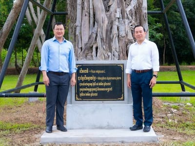 柬埔寨旅游部与农林渔业部携手 合作推动“一名游客一棵树”绿色旅游活动