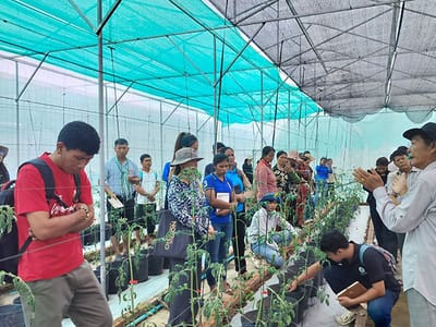 联合国粮农组织：呼吁加强技术投资以应对柬埔寨气候风险