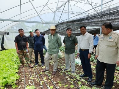 高塔博士考察柏威夏省农户网室蔬菜种植技术