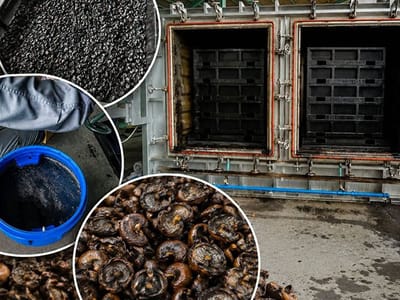 日本企业拟在柬埔寨投资腰果壳油及生物炭加工项目