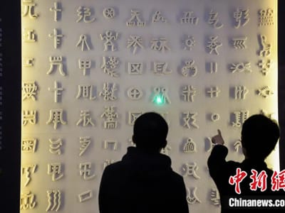 它，为何“震惊”联合国教科文直属协会主席？