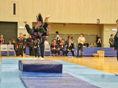 柬埔寨代表队在亚洲合气道锦标赛中斩获35枚奖牌