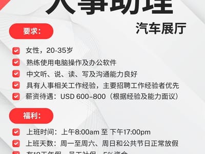 目前正在招聘，可通过 Telegram 发送简历申请。