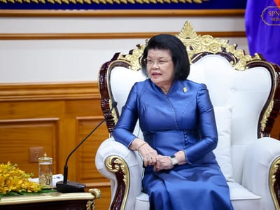 柬埔寨国会主支持柬越推动双边贸易额达200亿美元 - 图片2