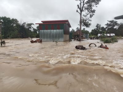 连日风雨交加 暹粒市当局紧急排涝清理倒伏树木