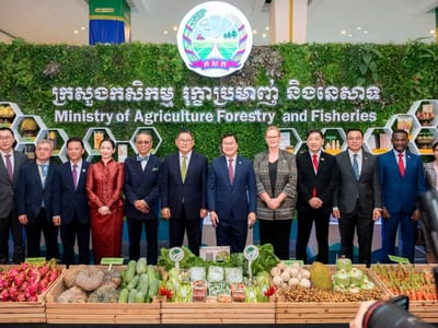 柬埔寨大米出口量首破百万吨大关，实现历史性成就