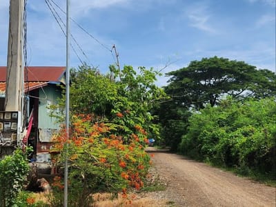 卜迭棉芷省库克巴朗乡安装315盏太阳能路灯