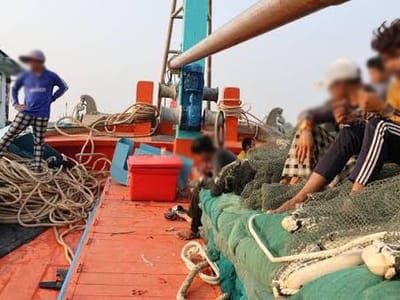 柬埔寨劳工部：禁止招聘及派遣柬籍劳工从事海外渔业和采矿业