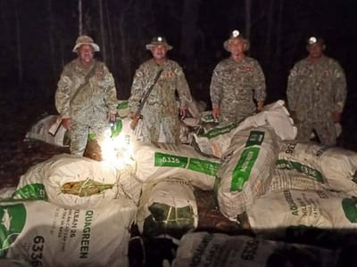 柬埔寨环境部前5个月打击800多起自然犯罪案！