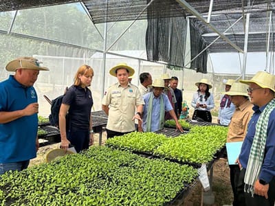 柬埔寨农业部评估贡布省现代农业价值链项目进展