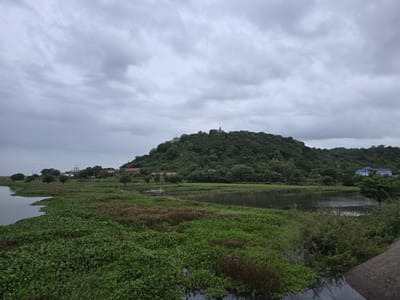柬埔寨茶胶省“波里山”：蕴藏丰富历史的考古遗址