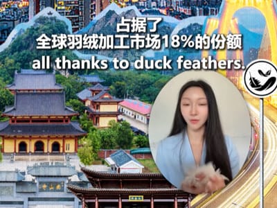 一把鸭毛闯全球！广西这座小镇大有来头｜中国城·国际范儿