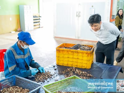 柬埔寨首次直接向英国出口腰果