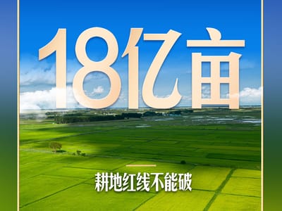 习言道｜习近平再次强调这条红线