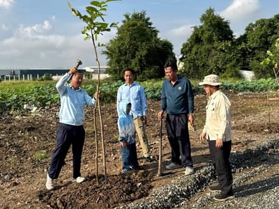 金边森速区在中学周边开展植树活动