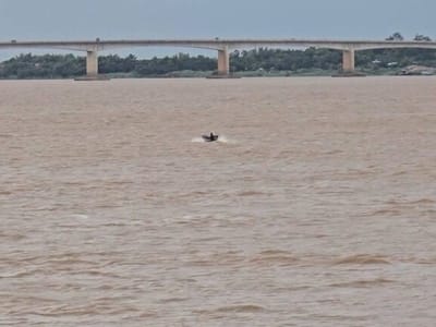 磅湛省政府：湄公河水位继续上涨