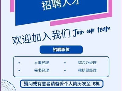 目前我司在招人才