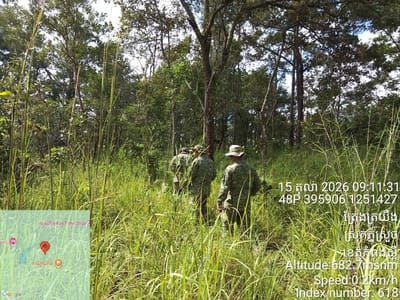 柬埔寨基里隆国家公园两个月内查获50起自然资源违法案件